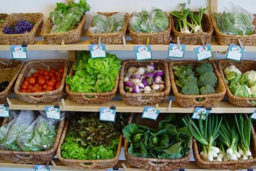 alimentos_ecologicos1