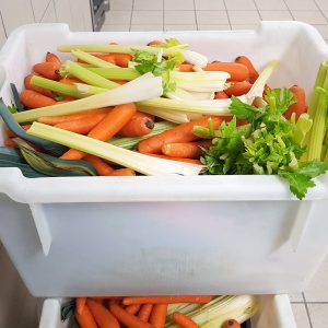 w-GF-20170322_080658 w-GF-20170322_080658