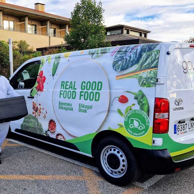 Furgoneta Electrica1