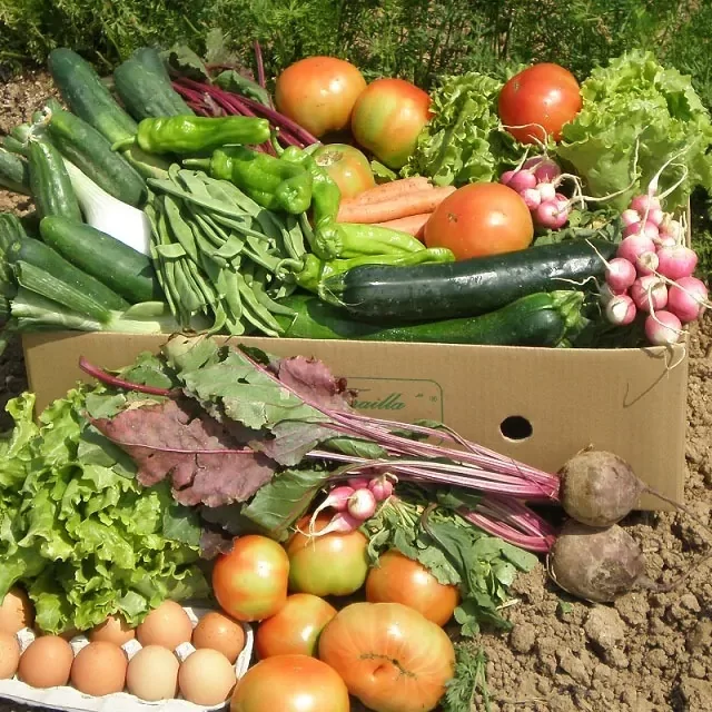 AGRICULTURA-ECOLÓGICA